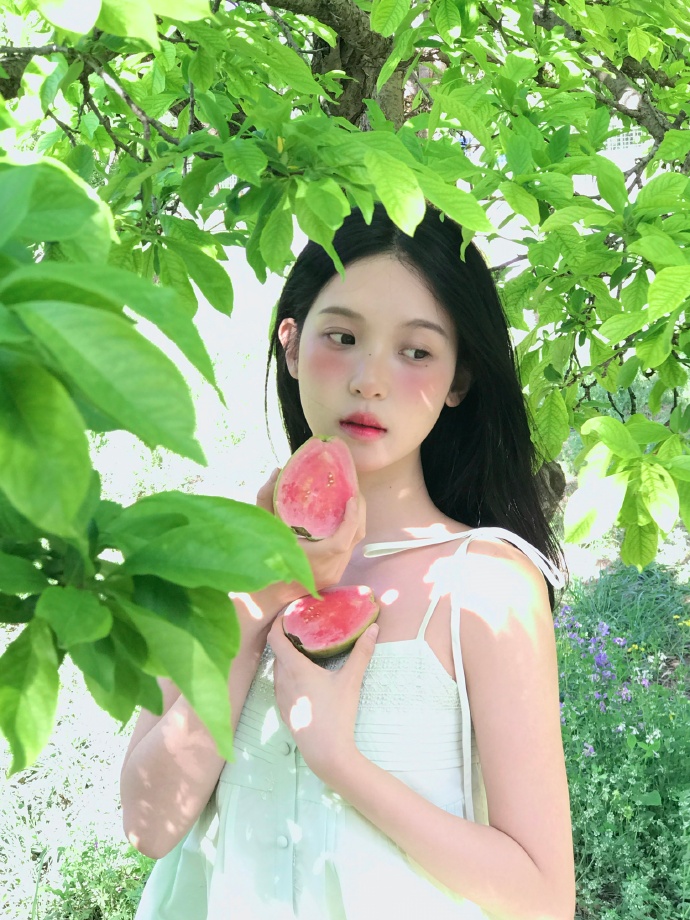 百度算法更新周期云端站点维稳全套实操方案