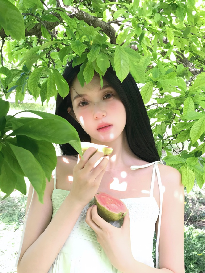 全新域名新站沙盒期云端匀速轻量化破局方案