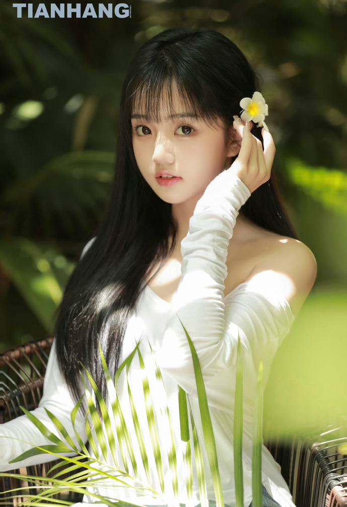 传统人工SEO与云端智能优化全方位对比测评